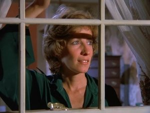 Eight Is Enough 3. évad Ep.3 3. epizód