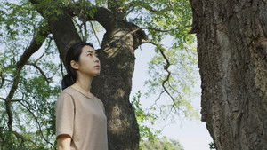 비밀의 정원 háttérkép
