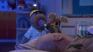 Bear Behaving Badly Season 1 Ep.1 1. epizód