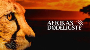 Veszedelmes Afrika kép