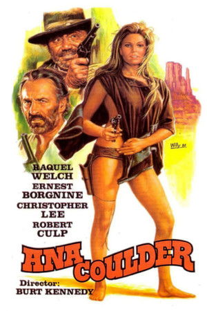 Hannie Caulder poszter