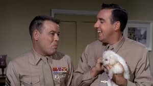 Gomer Pyle, U.S.M.C. Season 3 Ep.11 11. epizód