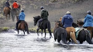 Islande, la quête des origines háttérkép