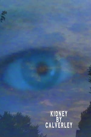 Kidney By Calverley