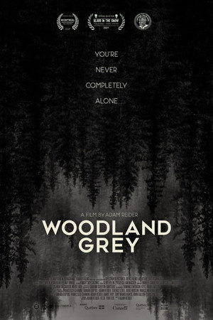 Woodland Grey poszter