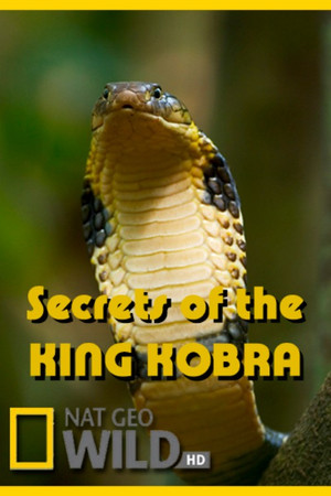 Secrets of the King Cobra poszter