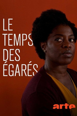 Le temps des égarés poszter