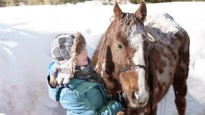 The Horses of Mcbride háttérkép