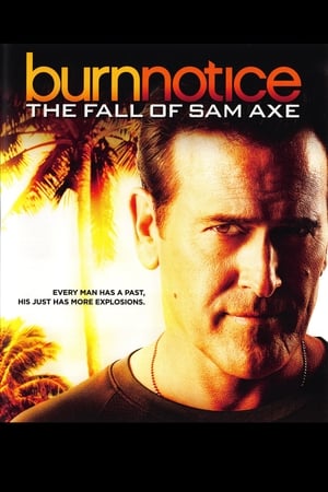 Burn Notice: The Fall of Sam Axe poszter