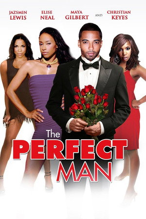 The Perfect Man poszter