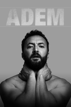 Nasrdin Dchar: Adem poszter