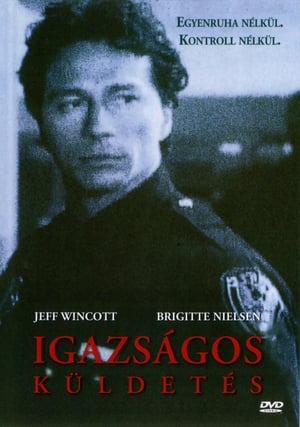 Igazságos küldetés