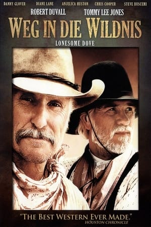 Texasi krónikák: Lonesome Dove poszter