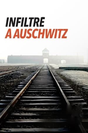 Infiltré à Auschwitz poszter