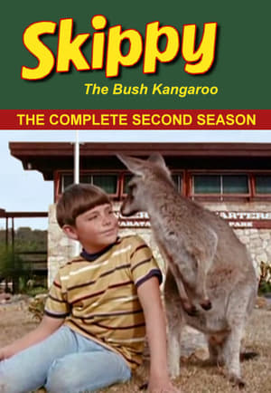 Skippy the Bush Kangaroo