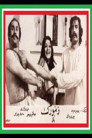 زنبورک poszter