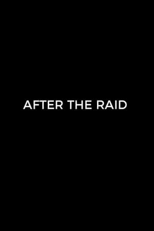 After the Raid poszter