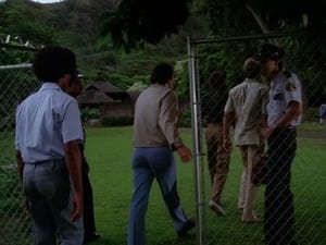 Hawaii Five-O Season 12 Ep.13 13. epizód