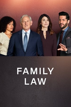 Family Law poszter