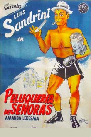 Peluquería de señoras poszter