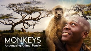 Monkeys: An Amazing Animal Family kép