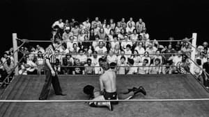 Head Over Heels: Remembering Wrestling at the Chase háttérkép