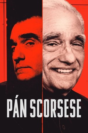 Mr. Scorsese poszter