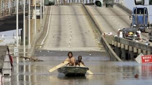 When the Levees Broke: A Requiem in Four Acts kép