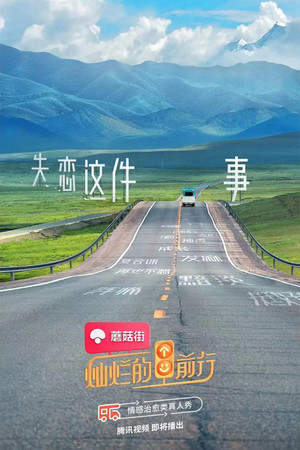 灿烂的前行 poszter