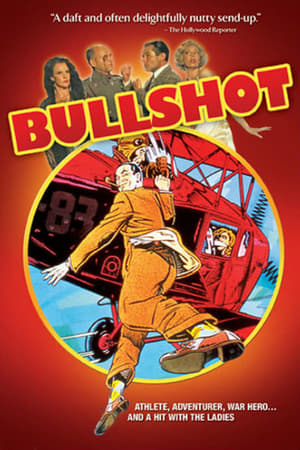 Bullshot poszter