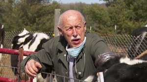 Dr. Pol állatklinikája 20. évad Ep.3 3. epizód