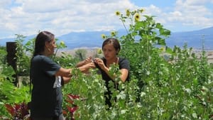 Return: Native American Women Reclaim Foodways for Health & Spirit háttérkép