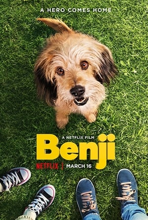 Benji poszter