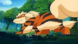 Pokémon 8. évad Ep.47 47. epizód