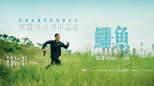 鱷魚 háttérkép