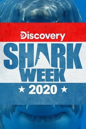 Shark Week