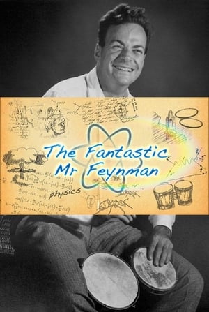 The Fantastic Mr Feynman poszter