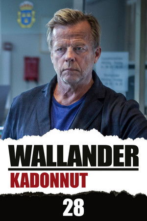 Försvunnen poszter