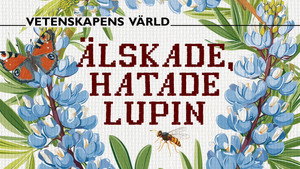 Vetenskapens värld 51. évad Ep.23 23. epizód