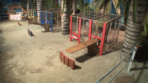 Big Brother Season 21 Ep.21 21. epizód