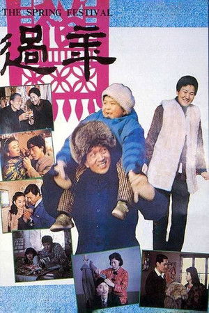 过年 poszter