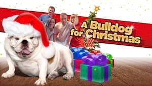 A Bulldog for Christmas háttérkép