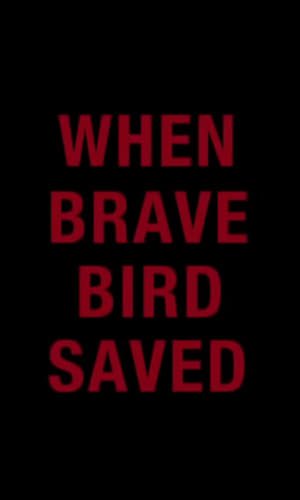 When Brave Bird Saved