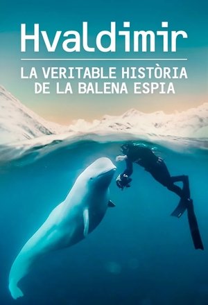 #hvaldimir - La Véritable histoire du béluga espion poszter