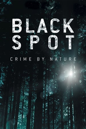 Black Spot – Szólít az erdő poszter