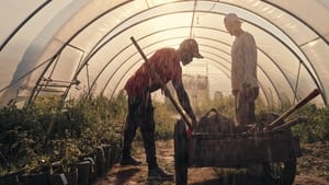 Zöld forradalom: A jövő farmjai kép