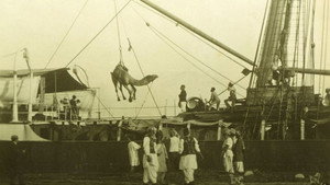 Afghan Cameleer in Australian from 1860-1920 háttérkép