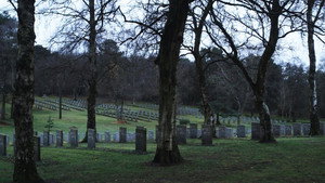 Sideworld: Haunted Forests of England háttérkép