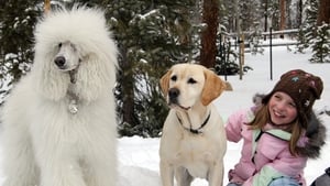 A kutya, aki megmentette a karácsonyt háttérkép