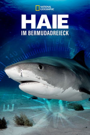 Sharks of the Bermuda Triangle poszter